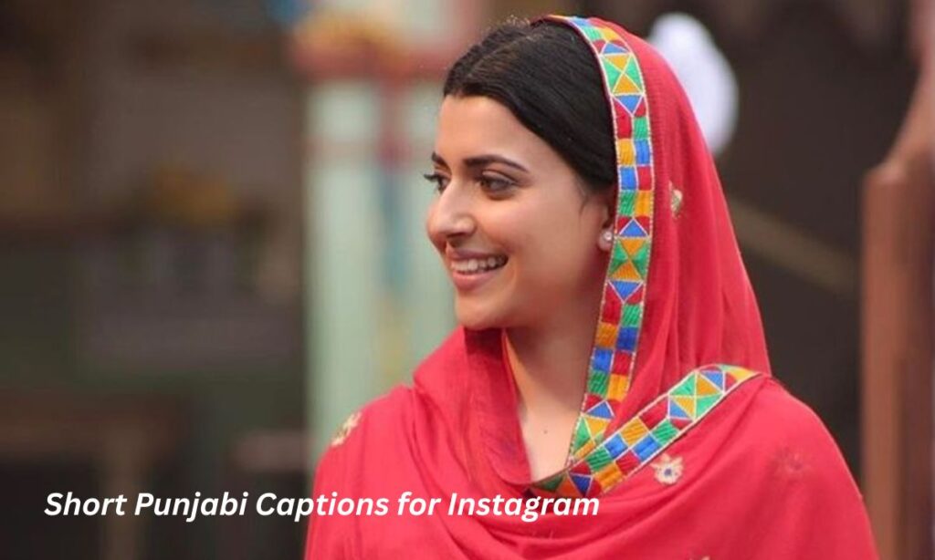 Short Punjabi Captions for Instagram