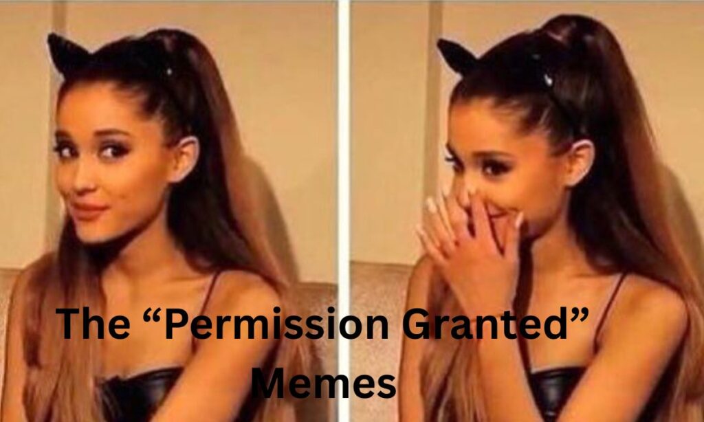 top-categories-of-hot-wife-memes