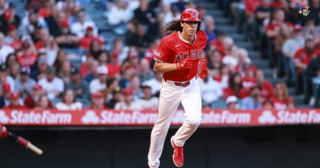 Professional Baseball Career